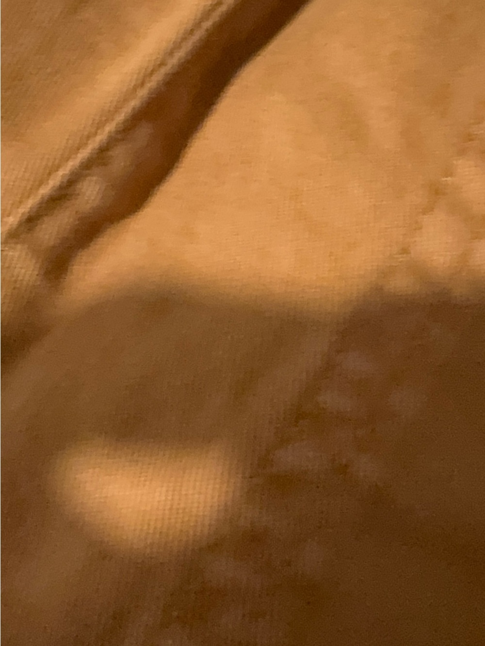 J.Crew high-rise, Pull-on Wide-leg Chino Pants xs - Picture 8 of 8